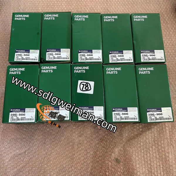 Original Hyundai 31945‑84040 Fuel Filter for Excavator photo-3