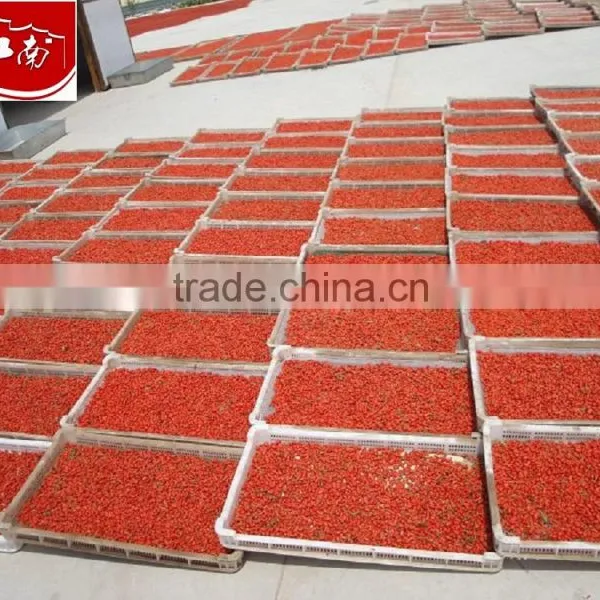 Tibet Goji Berries With Wholesale Price, Bulk Goji Berry Selling