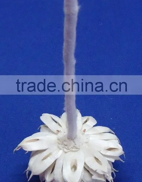Sola Flower photo-4