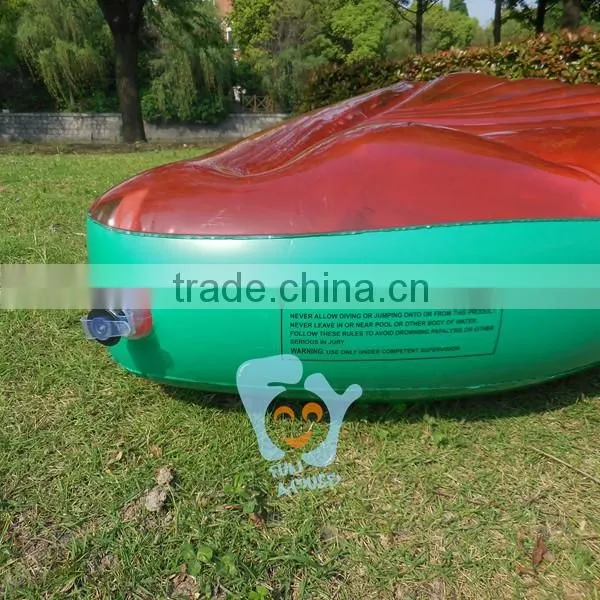 Factory Price PVC Water Fruit Watermelon Pool Float Inflatable Donut photo-5