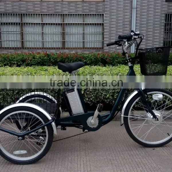 3 Wheel Handicapped 250W Electric Tricycle for Adults photo-3