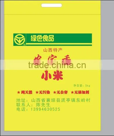China pp Woven Laminated Bags