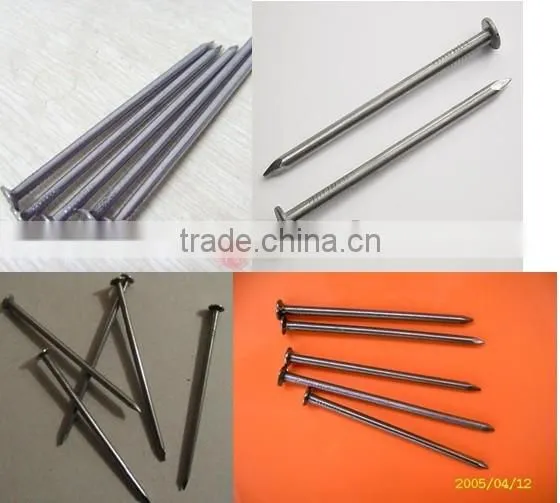 Round Head Nail Polished Nail Iron Nail Wire Nails Common Nails photo-2