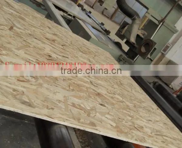 12.5mm Osb Board Factory Made in China photo-3
