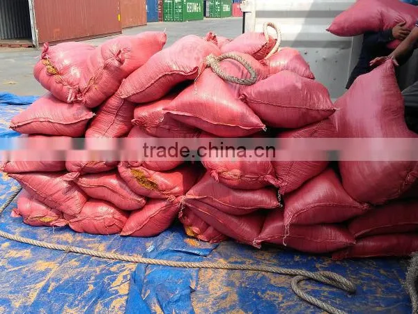 Loose Cocopeat_QQ:2598494113 photo-4