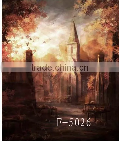Scenic Muslin Background For Photograph Studio