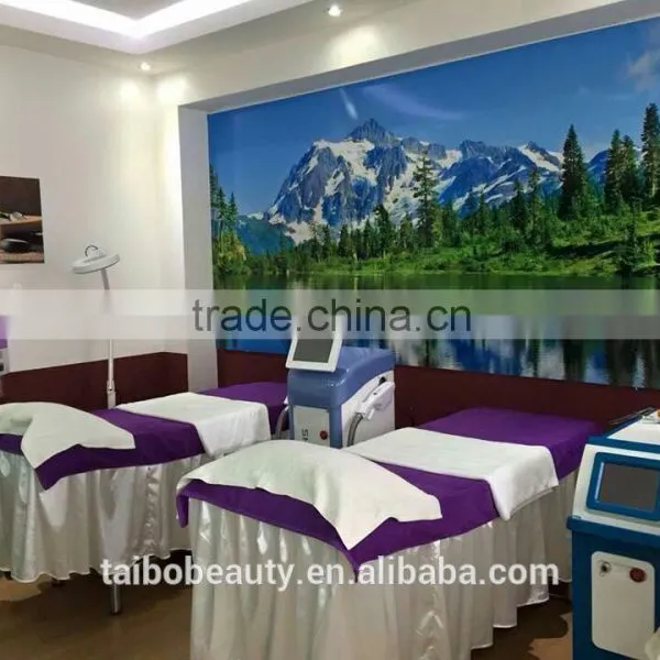Vietnam Distributor Cheap Yes Q-Switch and Laser Type q Switched nd Yag Laser Tattoo Removal Machine photo-5