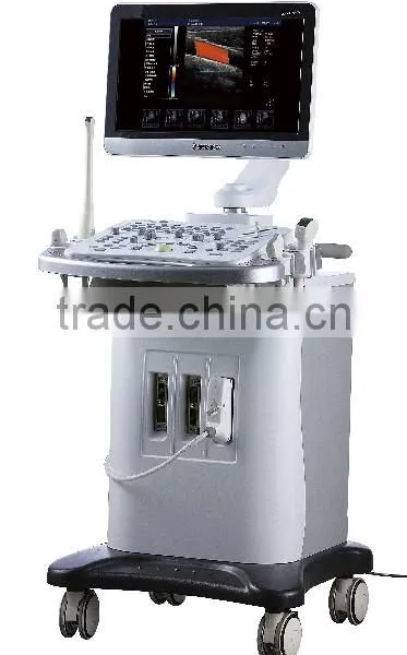 HY6000PRO Mobile Color Doppler 2D/3D/4D