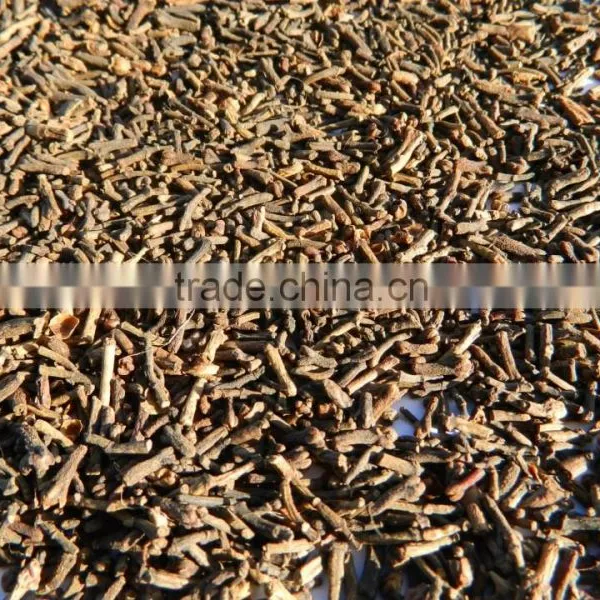 Clove Stem photo-2