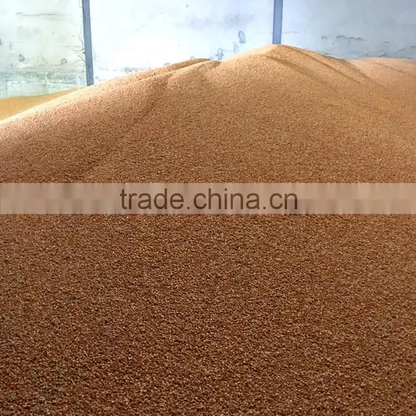 Yellow Corn , Yellow Maize , Non GMO Yellow Corn photo-4