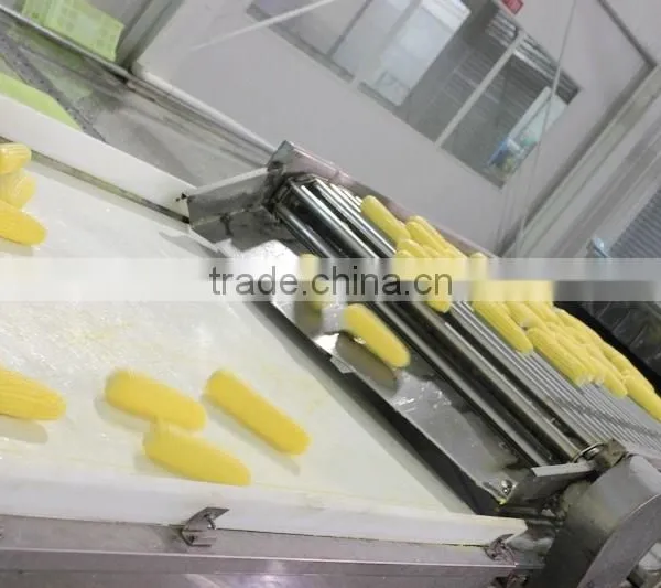 Sweet Corn photo-4
