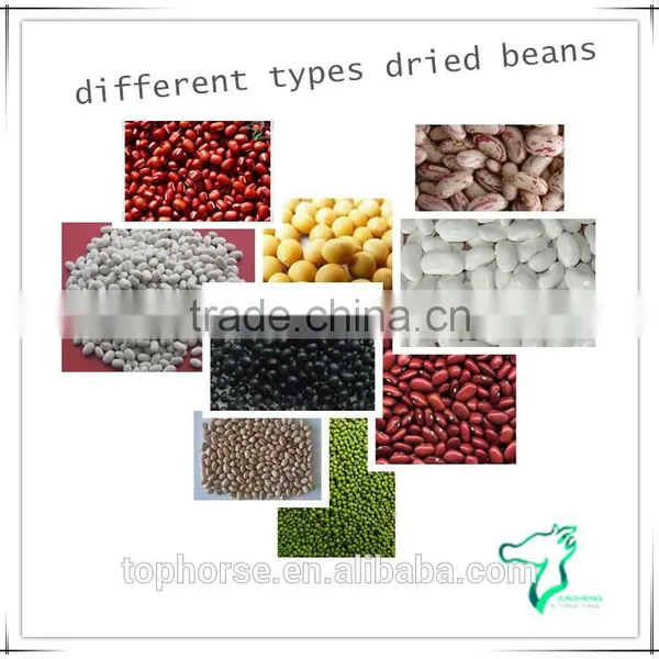 Different Types Dried Beans For Sale