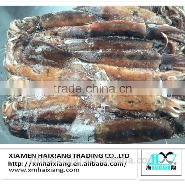 Price of Frozen Illex Squid