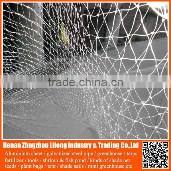 New Arrival Orchard Grape HDPE Anti Bird Netting , pe Plastic Knotted Mesh Bird Netting photo-6