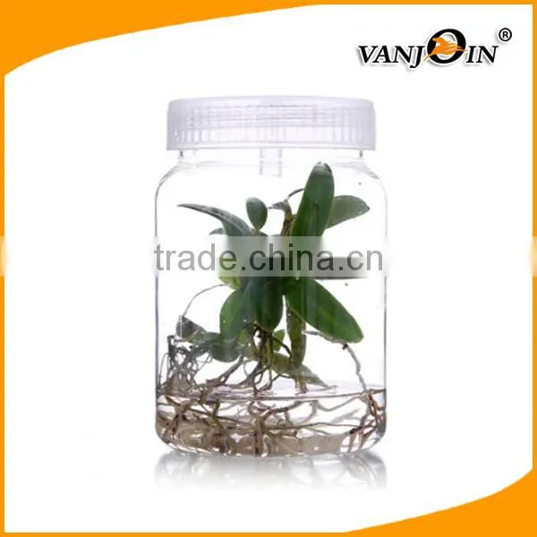 Empty Pet Plastic Plant Culture Bottle With Hole Caps photo-2