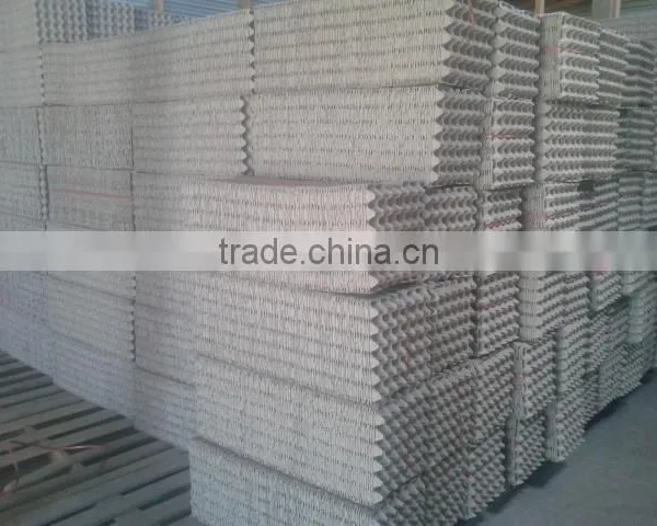 Plastic Small Egg Tray Making Machine photo-3
