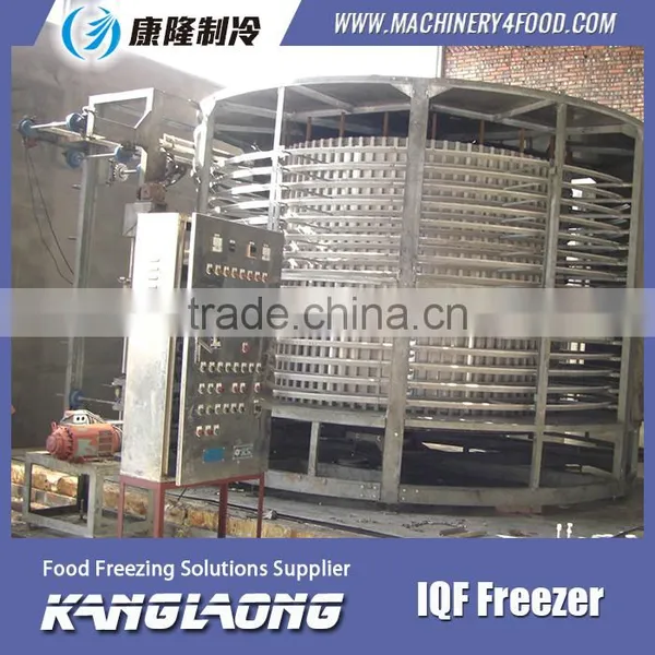 2000Kg/H Spiral IQF Freezer 1000 Made In China photo-3