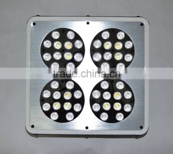Wholesale Led Grow Lights photo-4