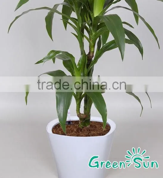 Pot Outdoor Flower Large,large Planters Vase photo-5