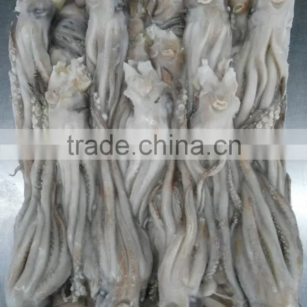 Frozen BQF New Produced Tweed Bait Squid Heads