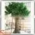 2015wholesale High Quality Artificial Banyan Tree Artificial Ficus Plants Customize Artificial Large Tree photo-2