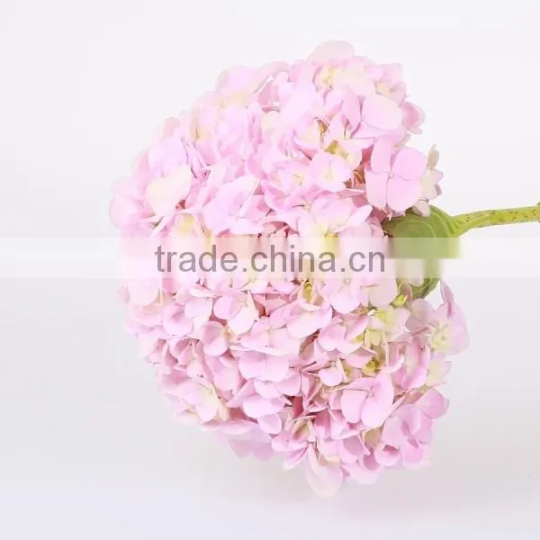 Single Stem Best Selling Fresh Wedding Flower Hydrangea Wholeasle From Yunnan,China photo-2