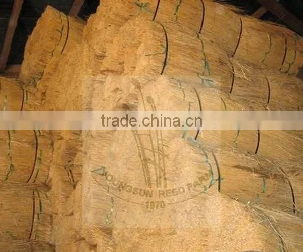 thatching reed bundles for roof