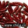 Sell Dehydrated Chilli Whole/Crushed/Powder