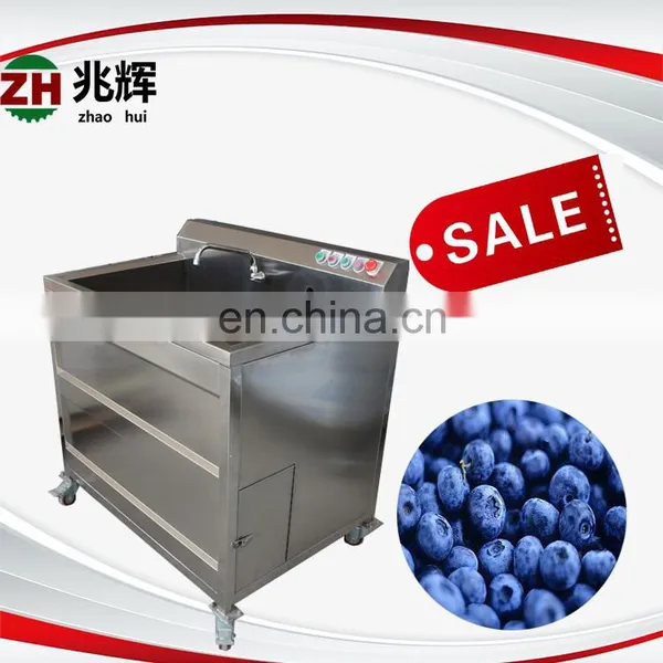 Commercial Small Blueberry Strawberry Fruit and Vegetable Washer Machine photo-5
