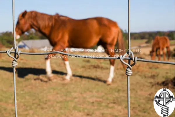 Strongest Quality Fixed Knot Horse Woven Wire Mesh Fencing photo-5
