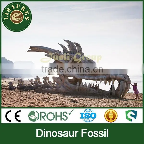 Lisaurus-C-Nice Dinosaur Skeleton Fossil photo-4