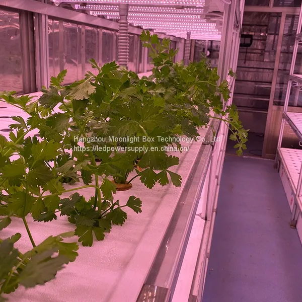Hydroponic Plant Factory Autopot Artificial Light System Grow Cabinet Kit Systems for Agriculture photo-2