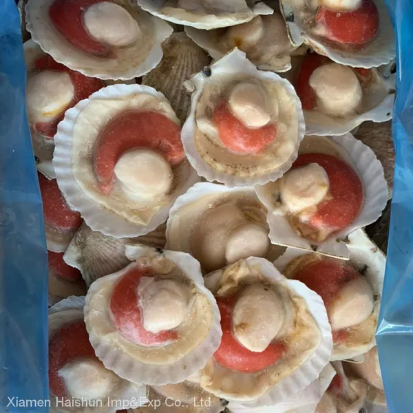 Frozen Half Shell Scallop