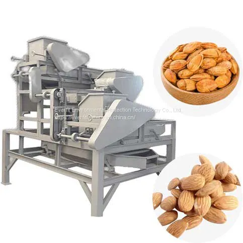 Almonds Cracking Industrial Machine Services Business a Hood Idea in Tunisia | Almond Shelling Machine photo-3