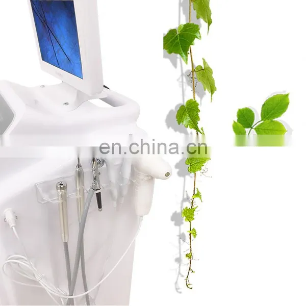 2020 New Arrival Water Oxygen Jet Facial Machine Skin Test Deep Cleaning Hydration Lifting Skin Care Beauty Instrument photo-3