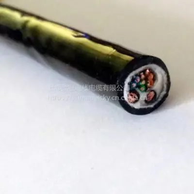 Sea Water Super Five Twisted-pair Cable With Power Supply Cold-resistant Underwater Special Composite Cable TPU Set | Custom photo-2