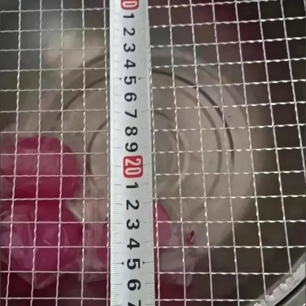 304l Petroleum Double-layer Coal Washing Net Plain Woven Filter photo-3