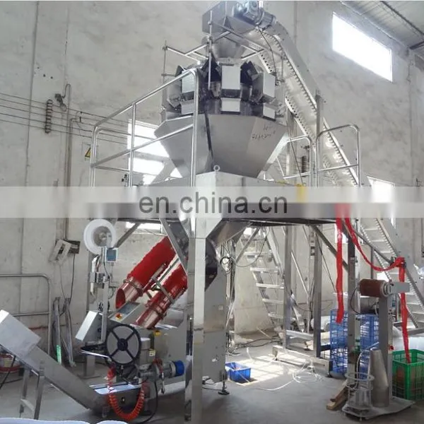 China Genyond Net Bag Packing Machine Onion Package Machine photo-5