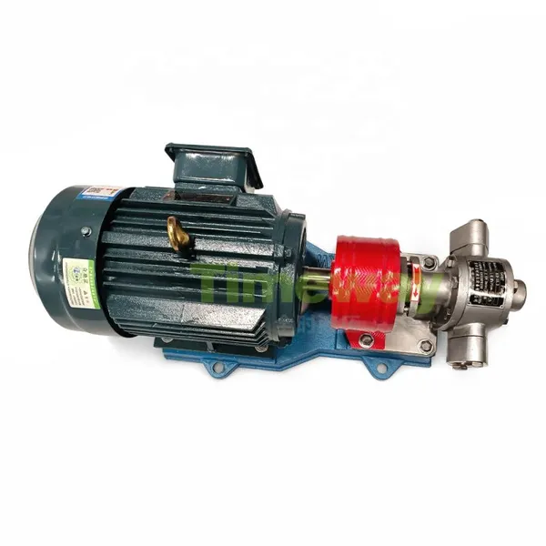 KCB Oil Transfer Pump Electrified Unit KCB33.3 Gear Type Fuel Pump With Motor 304 Stainless Steel Self-priming Pump photo-4