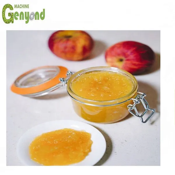 Shanghai Complete Strawberry Paste Making Machines for Concentration for Fruit & Vegetable Processing photo-3
