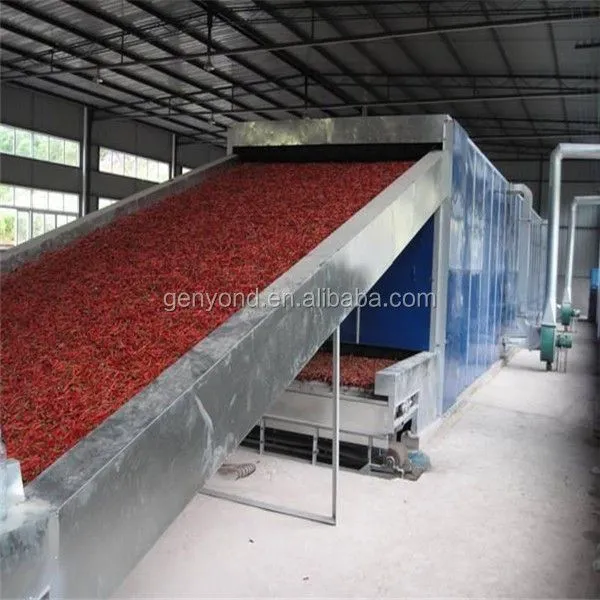 Instant Pineapple Powder Mango Powder Fruit and Vegetable Powder Processing Line photo-2