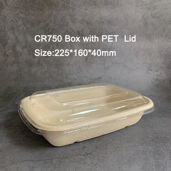 Shandong Watson Environmental Protection Packaging Technology Co., Ltd company overview - view 1