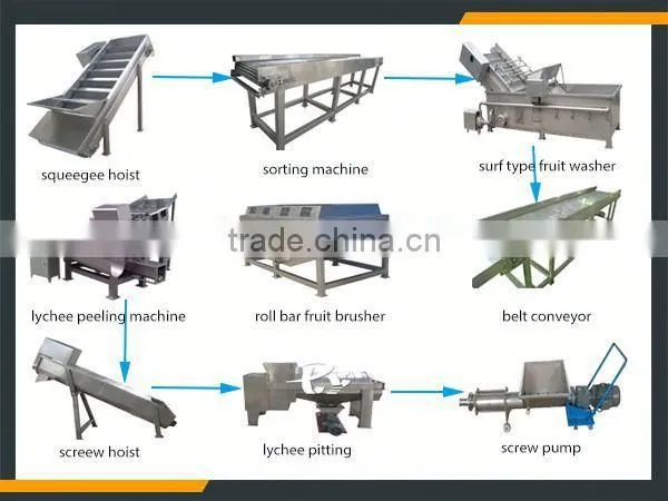 Leader Stainless Steel Longan Fruit Juice Process Line With CE & ISO photo-5