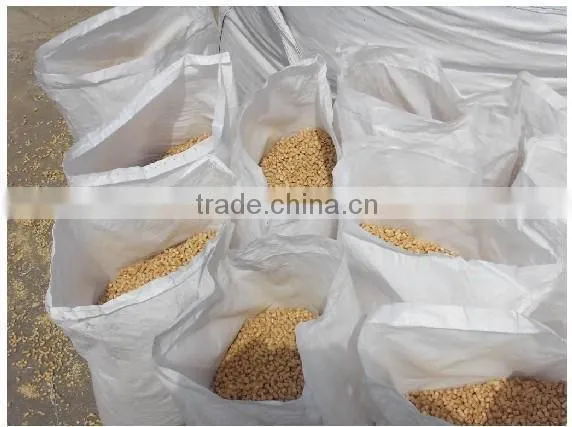 Shandong Factory Make Wood Pellets With Cheap Price photo-5