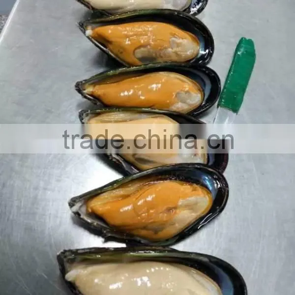 Mussel