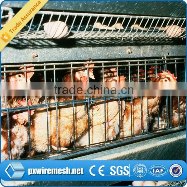 Poultry Chicken House/ Coop for Chicken photo-5