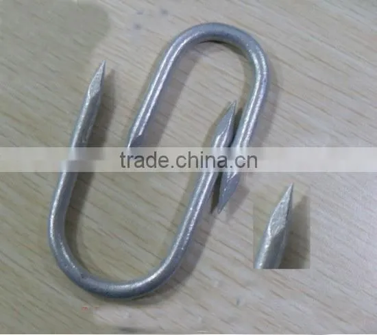 U-Shaped Nails/u Fence Staple/u Shaped Nail photo-3