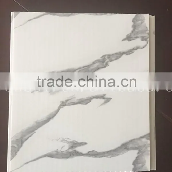 250*7mm New Design Printing Plastic Wall Panel in China