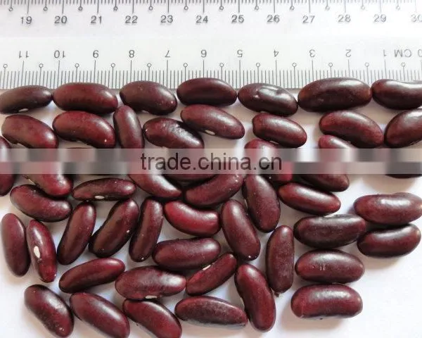 Red Kidney Beans