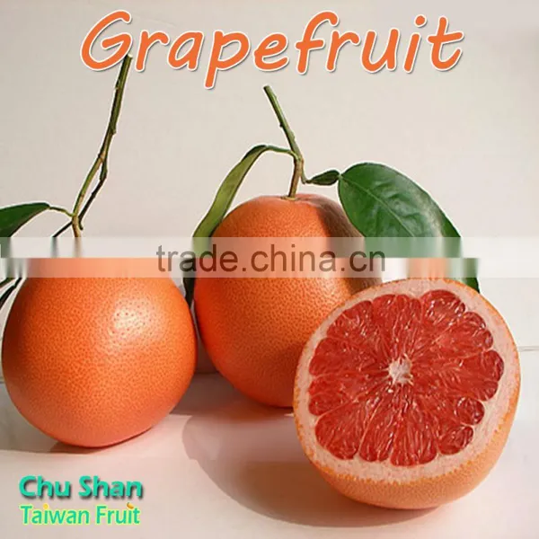 Fresh Grapefruit Best Price photo-6